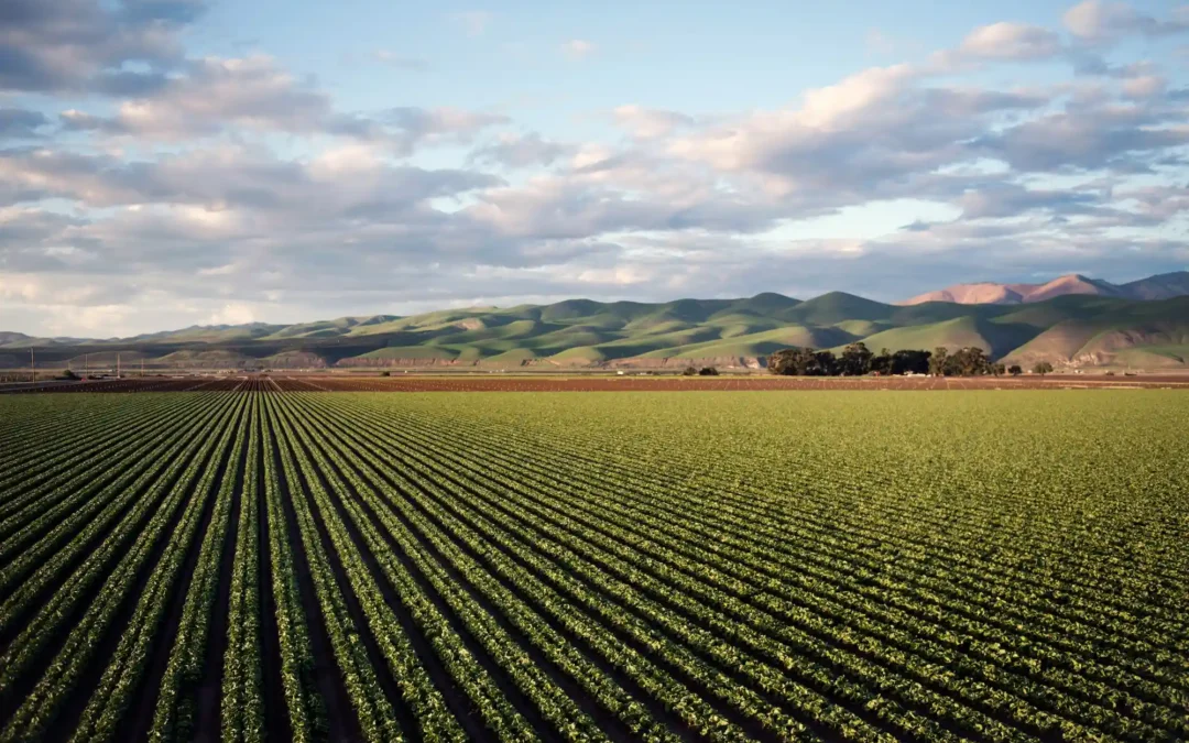 World Agri Tourism Day